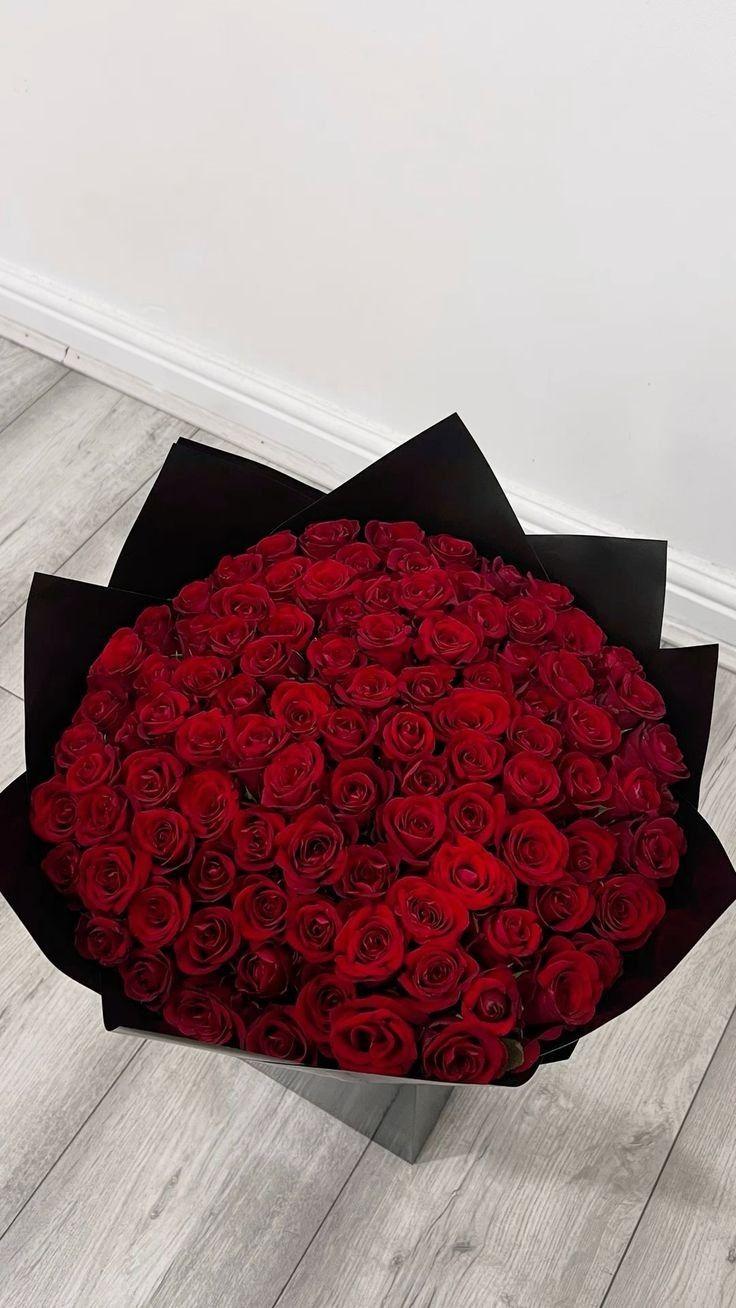 Eclipse of Elegance: Midnight Velvet Array